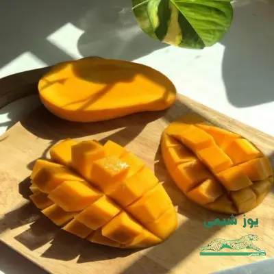 عکس دوم آگهی فروش اسانس انبه غذائی برند اولبریش آلمان (Olbrichtarom)
